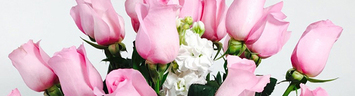 Romantic Flowers