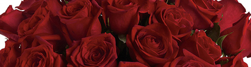 Anniversary Flowers