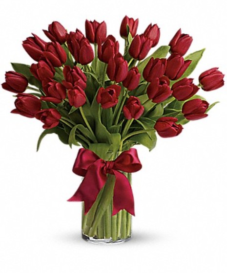 Radiant Red Tulips