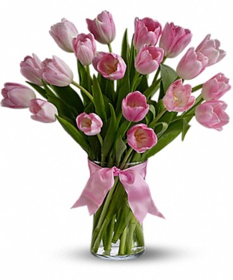 Precious Pink Tulips