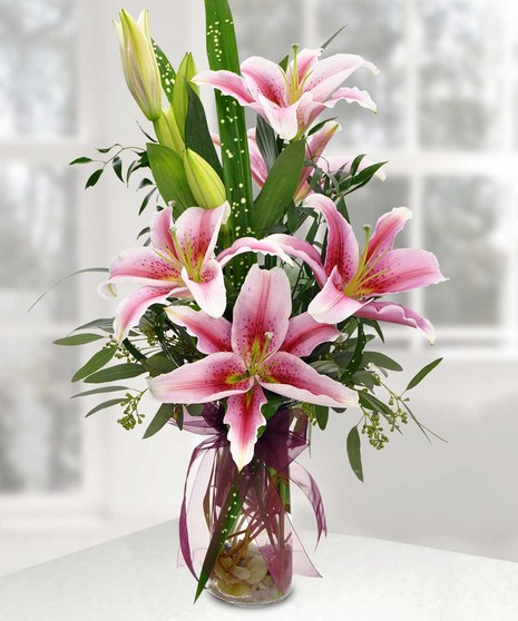 Enchanting Stargazer Lilies  Same-Day Flowers Kansas City