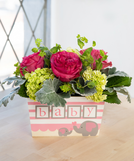 Baby Girl Box