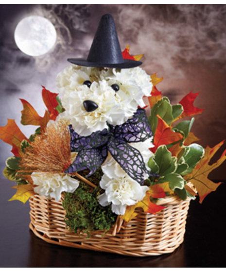Witchy Pooch