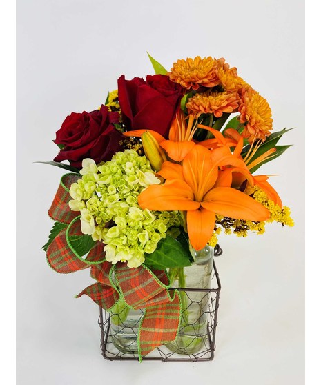 Pitter Patter for Fall