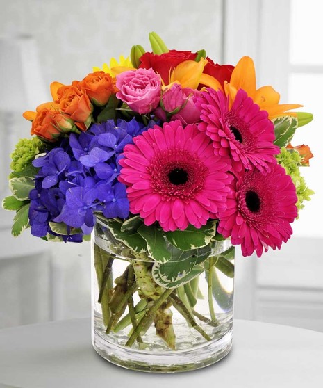 Get Well Gifts